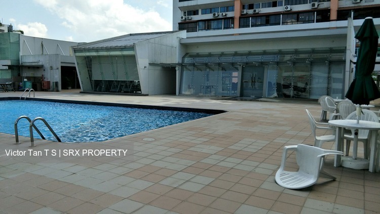 Bukit Timah Plaza / Sherwood Towers (D21), Apartment #195799542